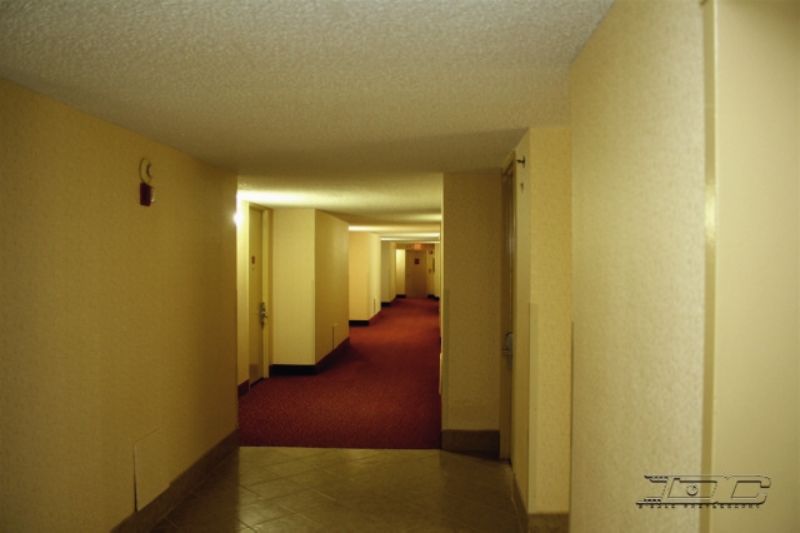 מלון College Park Wyndham Garden Atlanta Airport מראה חיצוני תמונה
